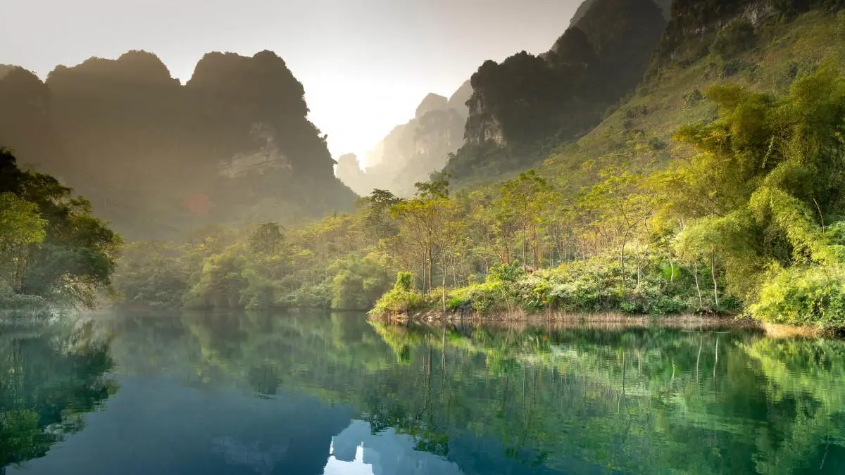 绿色稳定性高标准